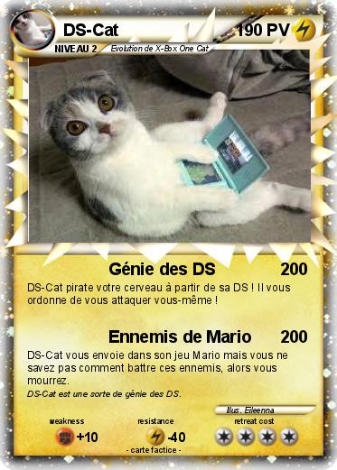 Pokemon DS-Cat
