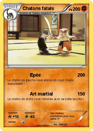 Pokemon Chatons fatals