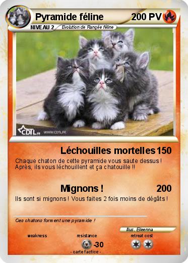 Pokemon Pyramide féline