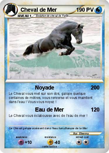 Pokemon Cheval de Mer