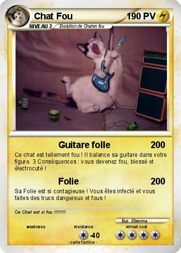 Pokemon Chat Fou