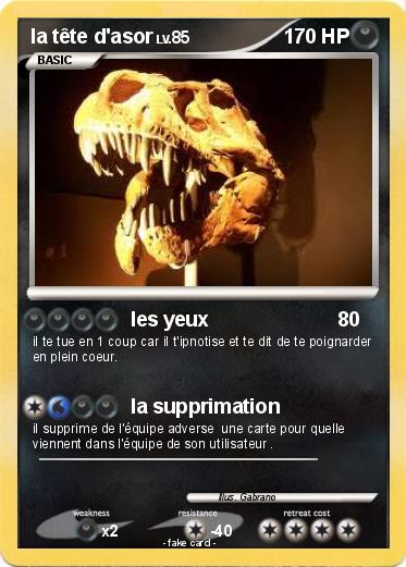 Pokemon la tête d'asor