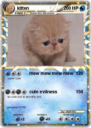 Pokemon kitten