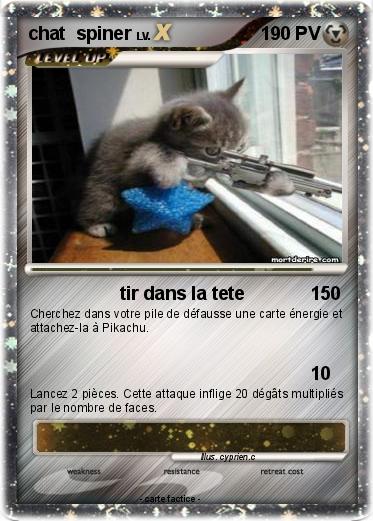 Pokemon chat  spiner