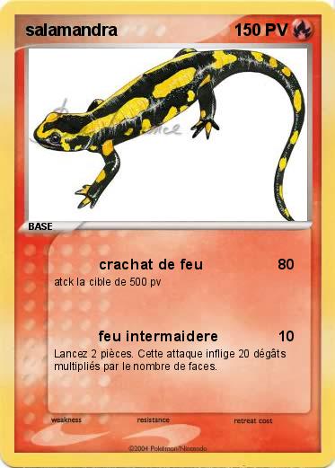 Pokemon salamandra