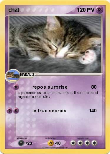 Pokemon chat