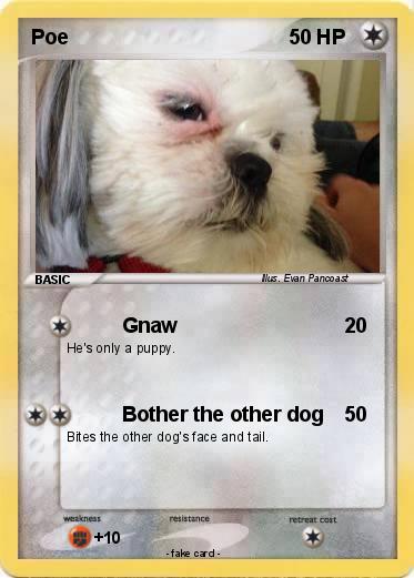 Pokemon Poe