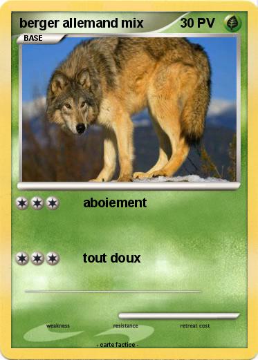 Pokemon berger allemand mix