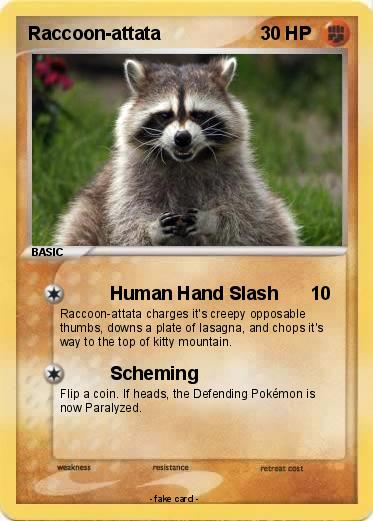 Pokemon Raccoon-attata