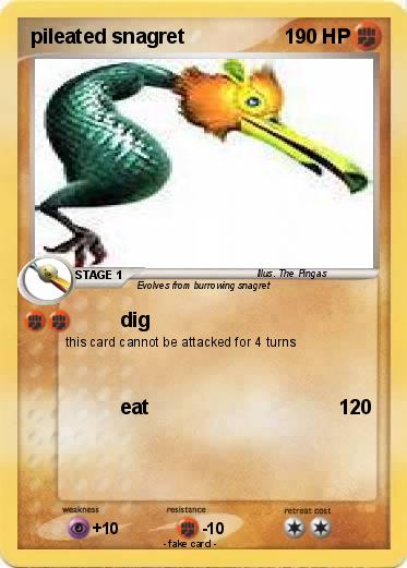 Pokemon pileated snagret