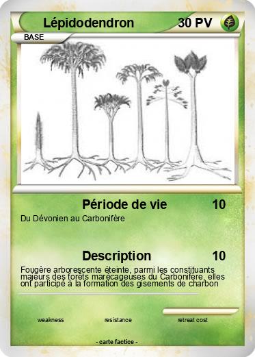 Pokemon Lépidodendron