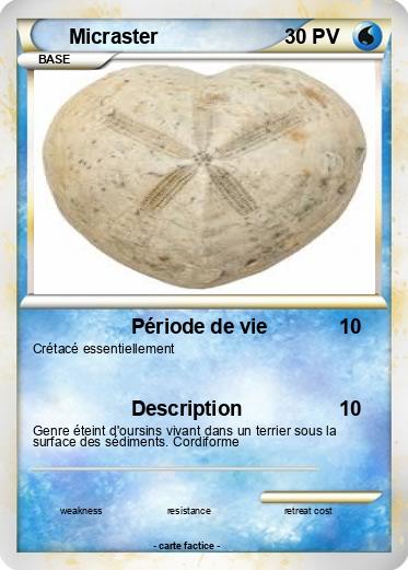 Pokemon Micraster