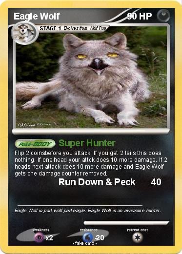 Pokemon Eagle Wolf