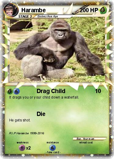 Pokemon Harambe