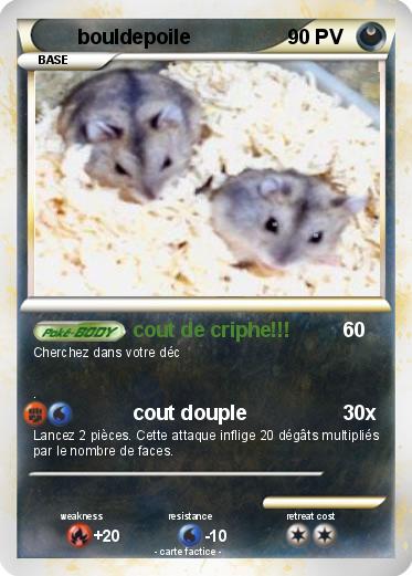 Pokemon bouldepoile