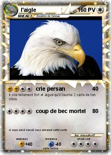 Pokemon l'aigle