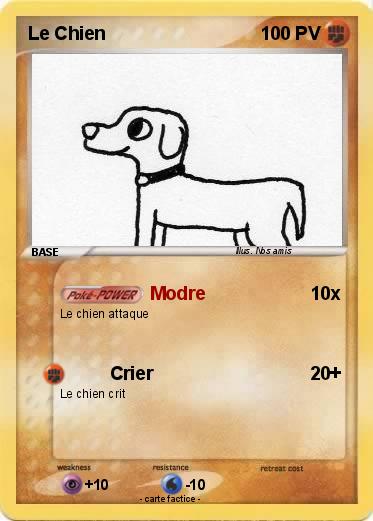 Pokemon Le Chien