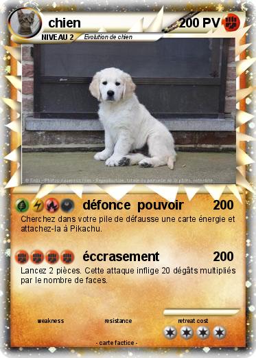 Pokemon chien
