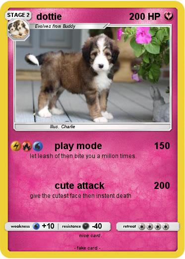 Pokemon dottie