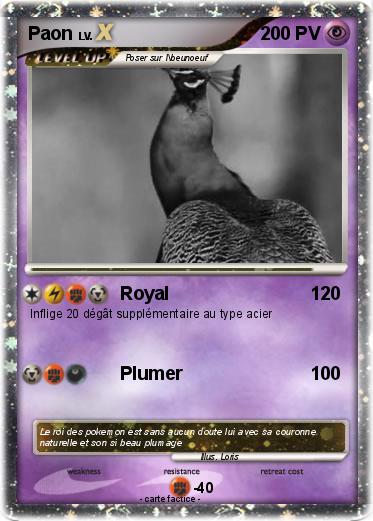 Pokemon Paon