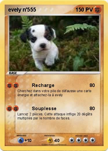Pokemon evely n'555