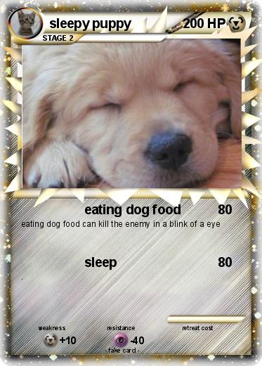 Pokemon sleepy puppy
