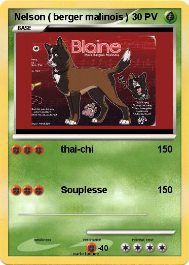Pokemon Nelson ( berger malinois )