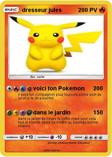 Pokemon dresseur jules