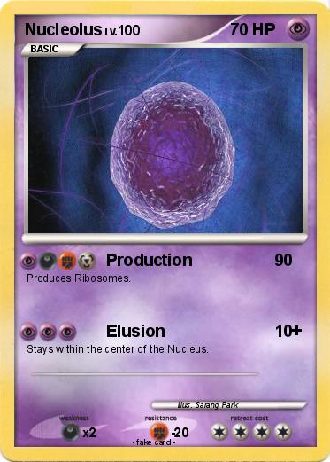 Pokemon Nucleolus