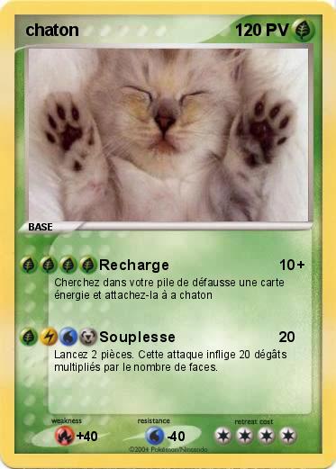 Pokemon chaton