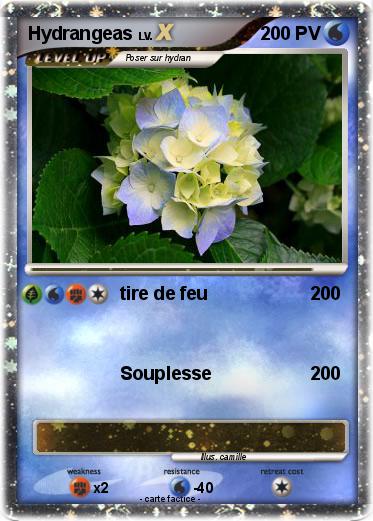 Pokemon Hydrangeas