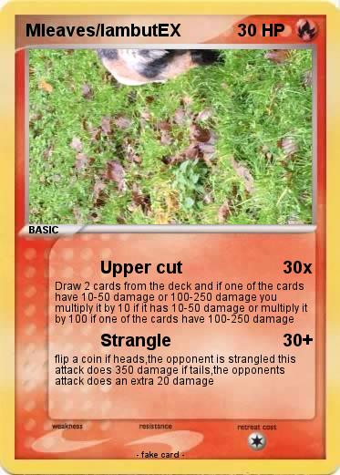 Pokemon Mleaves/lambutEX