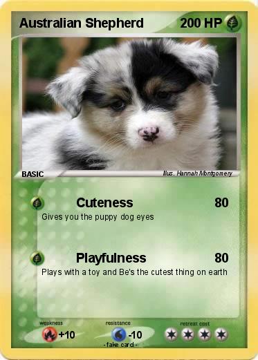 Pokemon Australian Shepherd