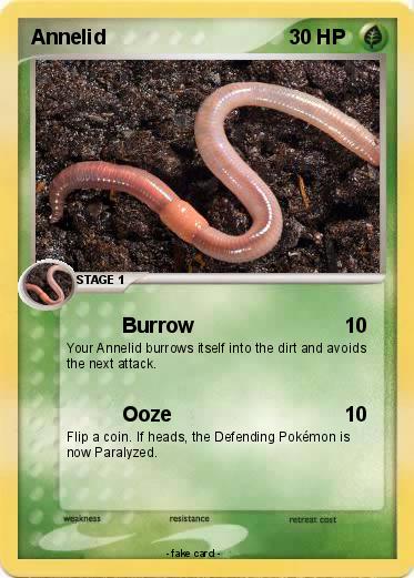 Pokemon Annelid