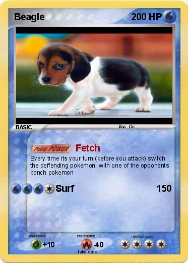 Pokemon Beagle