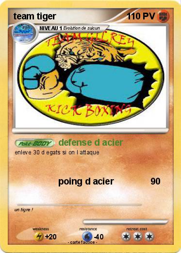 Pokemon team tiger