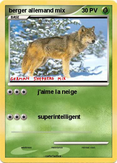 Pokemon berger allemand mix