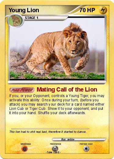 Pokemon Young Lion