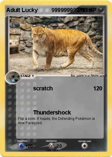 Pokemon Adult Lucky         99999999999999