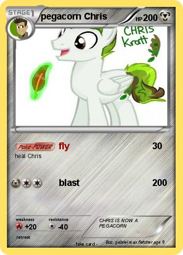 Pokemon pegacorn Chris