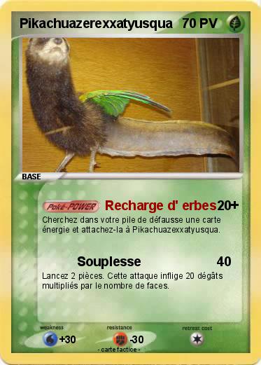 Pokemon Pikachuazerexxatyusqua