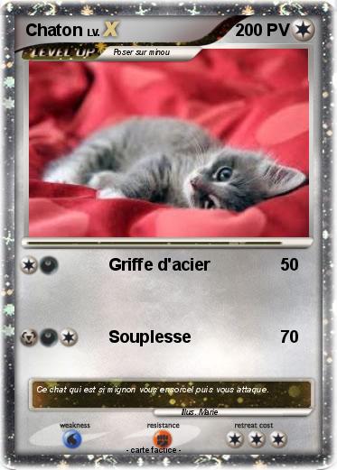 Pokemon Chaton