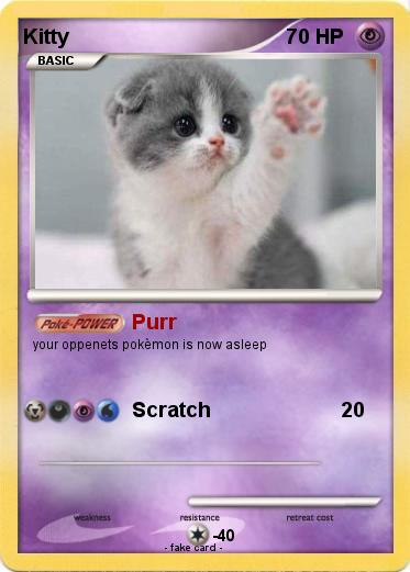 Pokemon Kitty