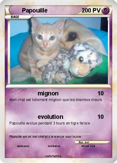Pokemon Papouille