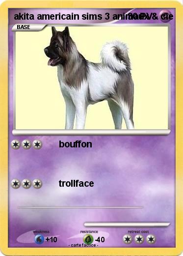 Pokemon akita americain sims 3 animaux & cie