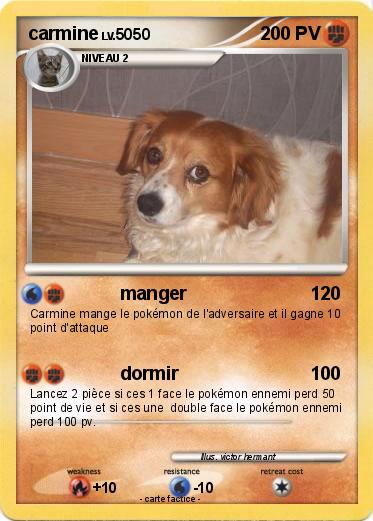 Pokemon carmine