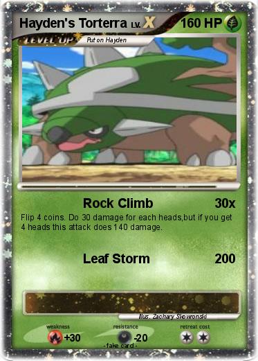 Pokemon Hayden's Torterra