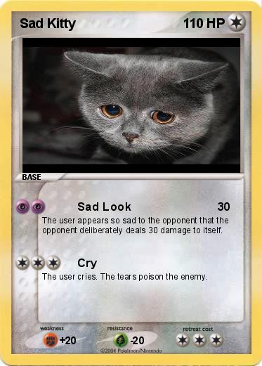 Pokemon Sad Kitty