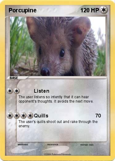 Pokemon Porcupine