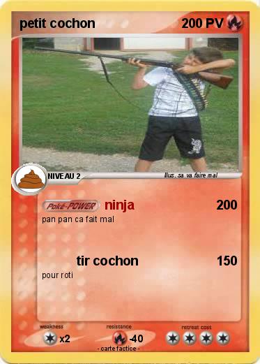 Pokemon petit cochon